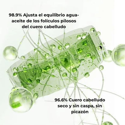 Champú de Batana – Formula Especial para Crecimiento y Nutrición del Cabello (400ML)